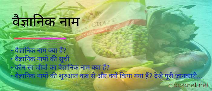 वैज्ञानिक नाम क्या हैं महत्वपूर्ण जीवो, फल और सब्जियों का वैज्ञानिक नाम
