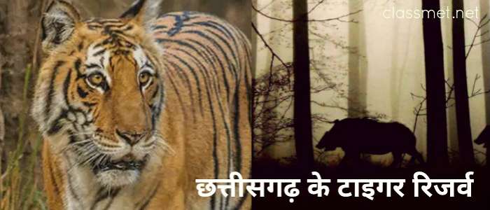 छत्तीसगढ़ के टाइगर रिजर्व