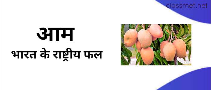 भारत के राष्ट्रीय चिन्ह | national emblem of india