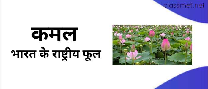 भारत के राष्ट्रीय चिन्ह | national emblem of india