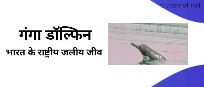 भारत के राष्ट्रीय चिन्ह | national emblem of india