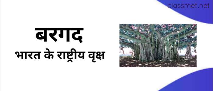 भारत के राष्ट्रीय चिन्ह | national emblem of india