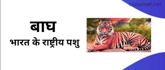 भारत का राष्ट्रीय प्रतीक पशु बाघ