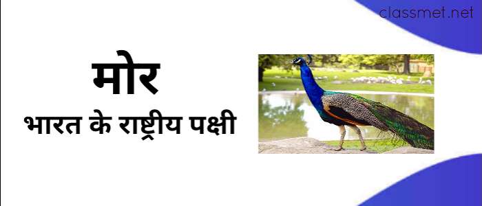 भारत के राष्ट्रीय चिन्ह | national emblem of india