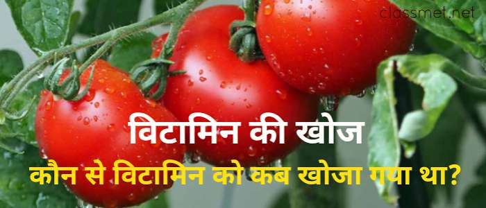 विटामिन की खोज कब हुआ, कौनसे विटामिन कब और कैसे खोजा गया