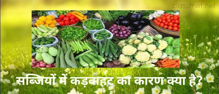 सब्जियों में कड़वापन का कारण क्या है, सब्जी खाने में क्यों कड़वा लगता हैं