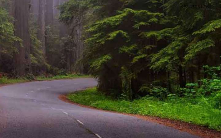 छत्तीसगढ़ के प्रसिद्ध गुफा कबरा