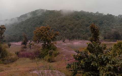 भारत के बायोस्फीयर रिजर्व