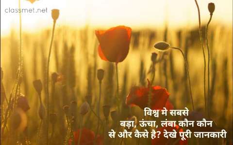 विश्व का सबसे बड़ा