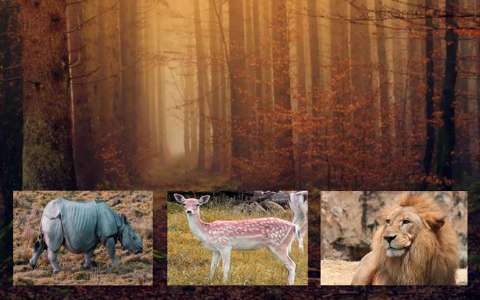 भारत के राष्ट्रीय उद्यान | भारत के नेशनल पार्क की राज्यवार पूरी सूची