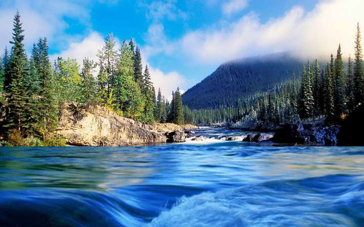 ठंडी जलधाराऐं कौन कौन से है | Which are the cold currents