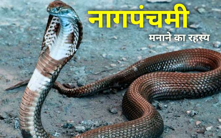 नाग पंचमी कब से मनाया जाता है? नागपंचमी से जुड़े रहस्य