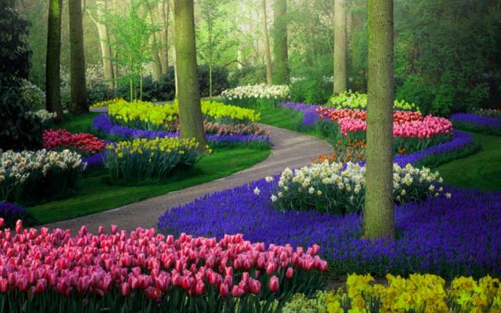 भारत मे उद्यान कौन कौन से है 2