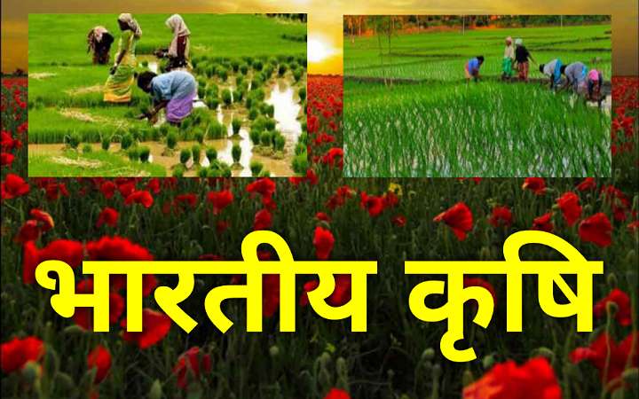 भारत में कृषि | भारतीय कृषि से जुड़े जरूरी जानकारी